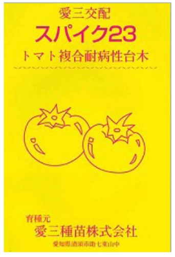 愛三種苗　トマト用台木　スパイク23　1000粒