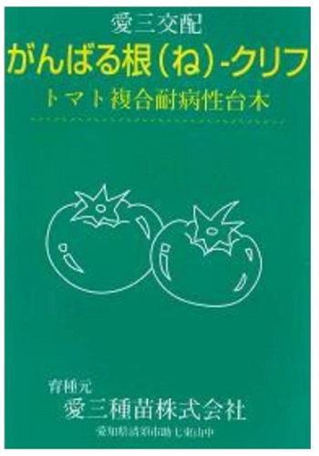 愛三種苗 赤茄子用台木 がんばる根 クリフ 厚地の外套1000粒