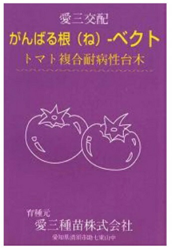 愛三種苗 赤茄子用台木 がんばる根 ベクト 厚地の外套1000粒