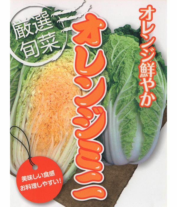 アサヒ栽培所 ハクサイ はくさい 白菜 オレンジ色ミニ白菜 20ml