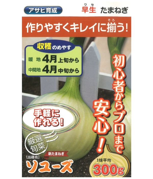 アサヒ栽培所 玉ねぎ たまねぎ 玉ねぎ ソユーズ 2デシリットル