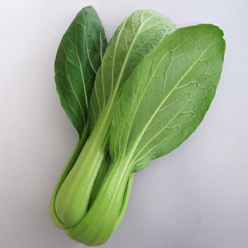 楽天市場】ミニ青梗菜〈ミニチンゲンサイ〉1パック、40g〜60g前後