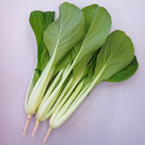 楽天市場】トーホク コマツナ 早生こまつなあおい : ホー