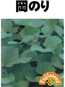 楽天市場 藤田種子 岡のり 小袋 種苗 園芸ショップ 種もり