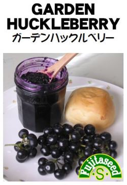 楽天市場 藤田種子 ガーデンハックルベリー 小袋 種苗 園芸ショップ 種もり