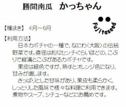 楽天市場 藤田種子 勝間南瓜かっちゃん 小袋 種苗 園芸ショップ 種もり