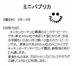 楽天市場 藤田種子 パプリカ ミニパプリカ イエロー 小袋 種苗 園芸ショップ 種もり