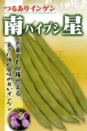 たね フタバ種苗　南星（ハイブシ）莢インゲン　1L