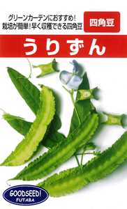 たね たね フタバ種苗　琉球四角豆　　うりずん　1L