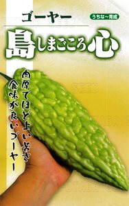たね フタバ種苗 島心ゴーヤー 1L