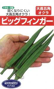 たね フタバ種苗　大長五角オクラ　ビッグフィンガー　1L｜種苗・園芸ショップ 種もり
