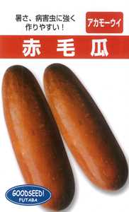 たね フタバ種苗　沖縄　赤毛瓜　1L