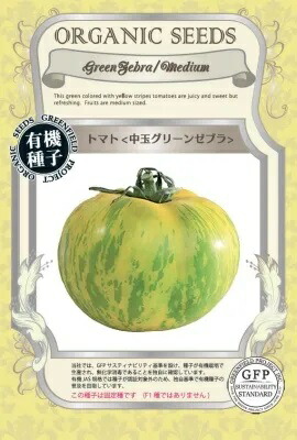 とまと　ネット　8ｍ×6ｍ　緑 とまと ネット 8m×6m 緑 とまと ネット 8m×6m 緑 楽天市場