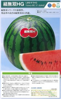神田育みそだてる スイカ すいか 西瓜 縞無双ＨＧ 200粒