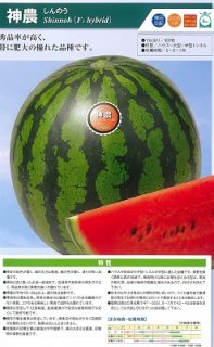 神田育みそだてる スイカ すいか 西瓜 神農 200粒