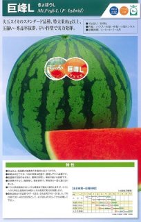 神田育種　スイカ すいか 西瓜 　巨峰Ｌ　200粒