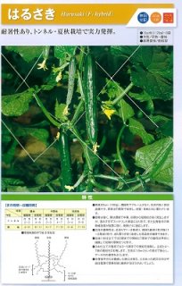 神田育種　キュウリ きゅうり 胡瓜　はるさき　20ml