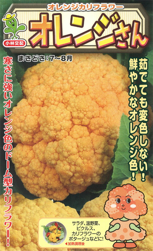 たね 小林種苗 カリフラワー オレンジさん 1000粒|種苗・園芸ショップ 種もり
