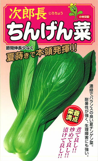 たね 小林種苗  チンゲンサイ 青梗菜 次郎長 2デシリットル