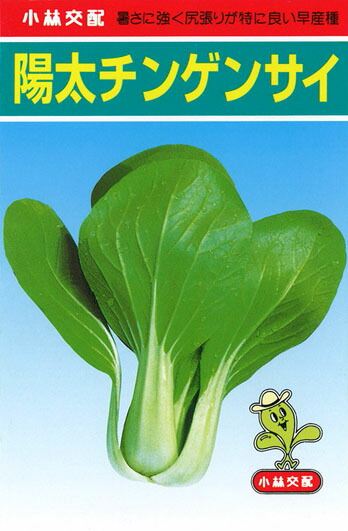 たね 小林種苗 チンゲンサイ 青梗菜　陽太　2dl