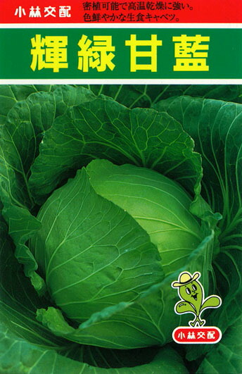 たね 小林種苗 キャベツ きゃべつ　輝緑　20ml 4,871円