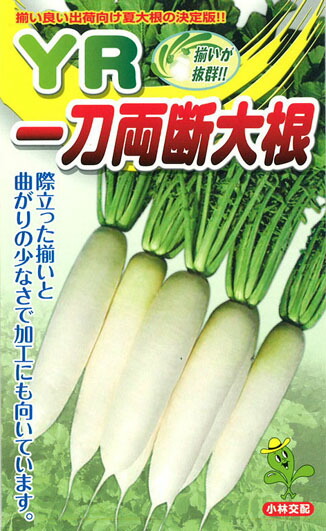 たね 小林種苗  清白 だいこん 大根役者 ＹＲ一刀両断 7000粒