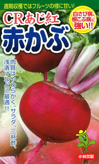 たね 小林種苗  カブ かぶ 蕪 ＣＲあじ紅 1dl