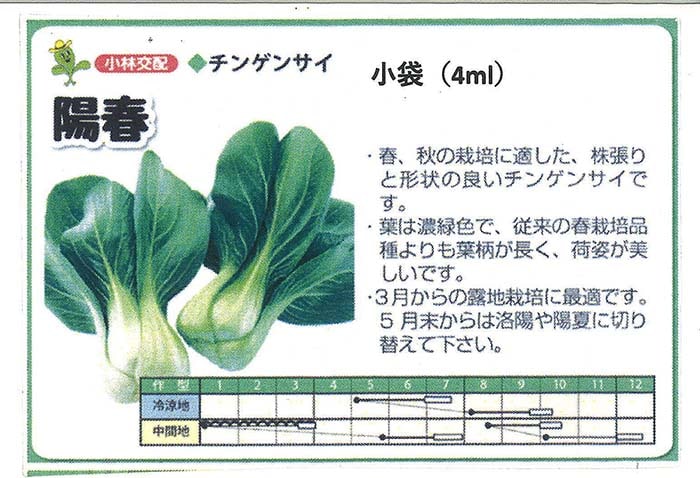 たね 小林種苗  チンゲンサイ 青梗菜 陽春 2デシリットル