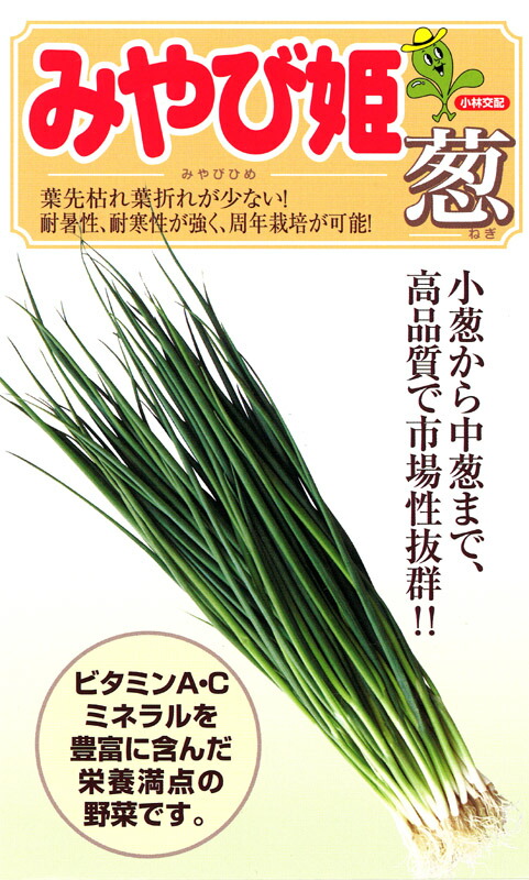 たね 小林種苗 ネギ みやび姫葱 1L