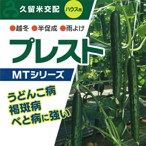 久育みそだてる苗 胡瓜 黄瓜 きゅうり プレスト 350粒