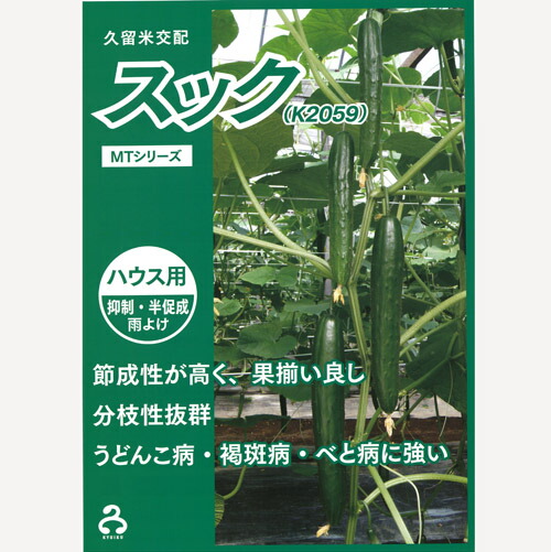 久育みそだてる苗 胡瓜 黄瓜 きゅうり スック（K2059）350粒