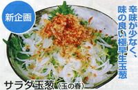 たね 丸種 タマネギ 玉葱 たまねぎ　サラダ玉葱　2dl