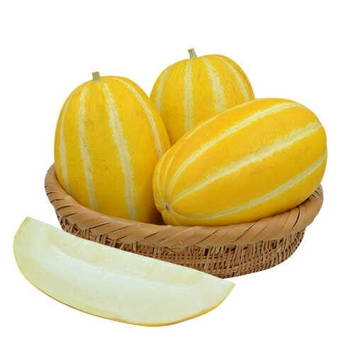 マクワウリ　10kg入り 楽天市場】真桑瓜 まくわうり 約5kg 10〜12個前後入り 滋賀産