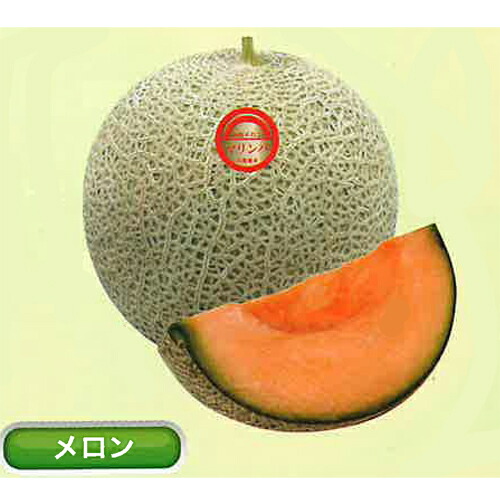 丸種 メロン　マリンバ　100粒