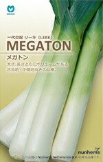 楽天市場 種子 Leek Longtonリーキ ロングトン丸種のタネ Ivy