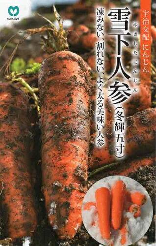 たね 丸種  ニンジン 人参 にんじん 雪下人参 2dl