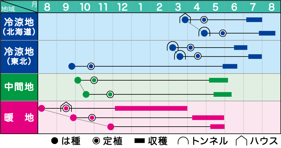 みかど協和 ソラマメ 陵西一寸 りょうさいいっすん 46粒 最大75％オフ！