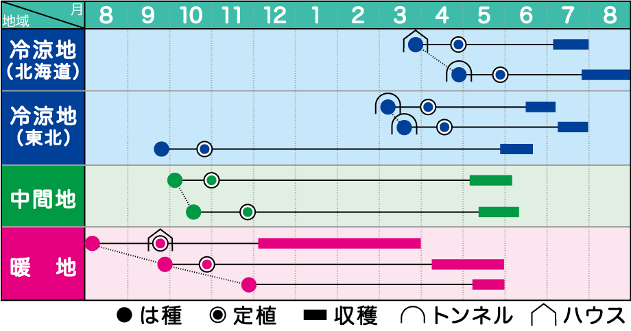 楽天市場 みかど協和 ソラマメ 緑陵西一寸 みどりりょうさいいっすん 230粒 種苗 園芸ショップ 種もり
