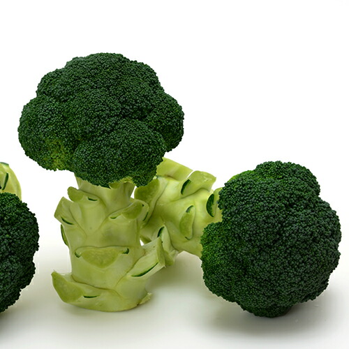 楽天市場】ブロリード ブロッコリー クリア 約100粒【郵送対応