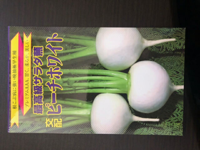 楽天市場】トキタ種苗 コマツナ こまつな 小松菜 TSX-553 1dl