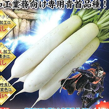 たね ナント種苗 ダイコン 大根 だいこん　褄切伝蔵　2dl