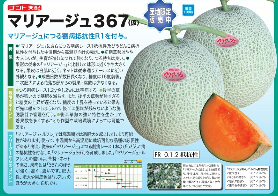 ナント種苗 メロン　マリアージュ367　100粒