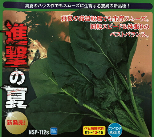 たね ナント種苗 ホウレンソウ 法蓮草 ほうれんそう　進撃の夏　PRL2.5万粒