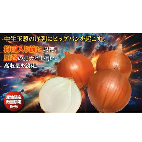たね ナント種苗  玉ねぎ 玉ねぎ たまねぎ ラウンドワン 100ｇ