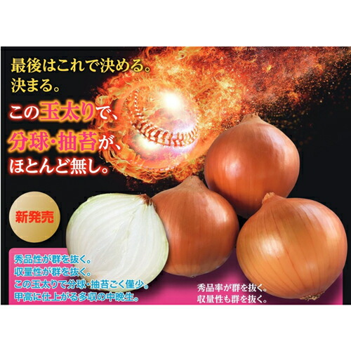 たね ナント種苗  玉ねぎ 玉ねぎ たまねぎ クローザー 100ｇ