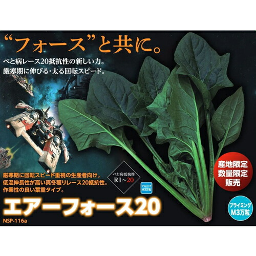 たね ナント種苗 ホウレンソウ 法蓮草 ほうれんそう エアーフォース20 PRL2.5万粒