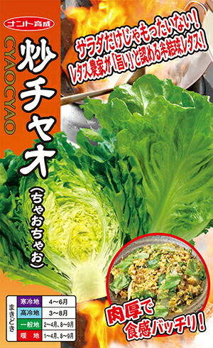 ナント種苗 レタス 炒チャオ(ちゃおちゃお)レタス　コート 5000粒