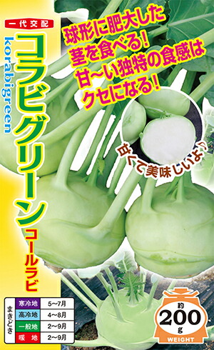ナント種苗 玉菜 コラビグリーン（球茎甘藍）2000粒