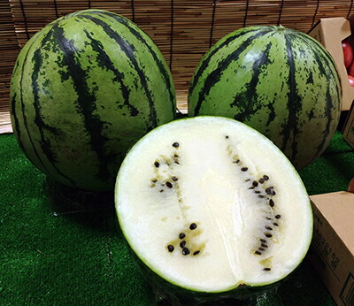 スイカサマー 008802_6510f3420d021.jpg?