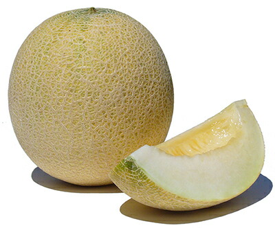 楽天市場】たね ナント種苗 メロン 種子 ムーンライト（NM-319
